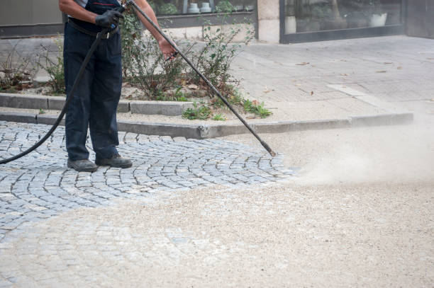 Best Brick and Stone Cleaning in Woodbine, GA